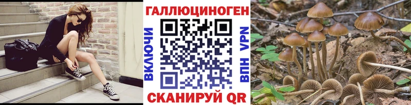 Купить закладки Сосновоборск Галлюциногенные грибы Psilocybe